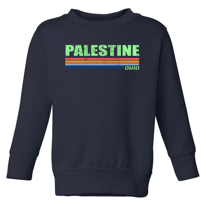 Palestine Ohio Retro Toddler Sweatshirt