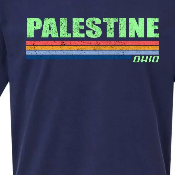 Palestine Ohio Retro Sueded Cloud Jersey T-Shirt