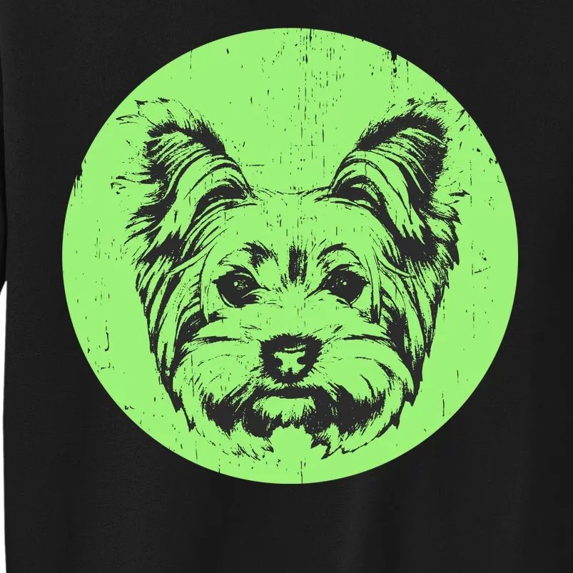 Portrait of Yorkshire Terrier Dog Tall Sweatshirt