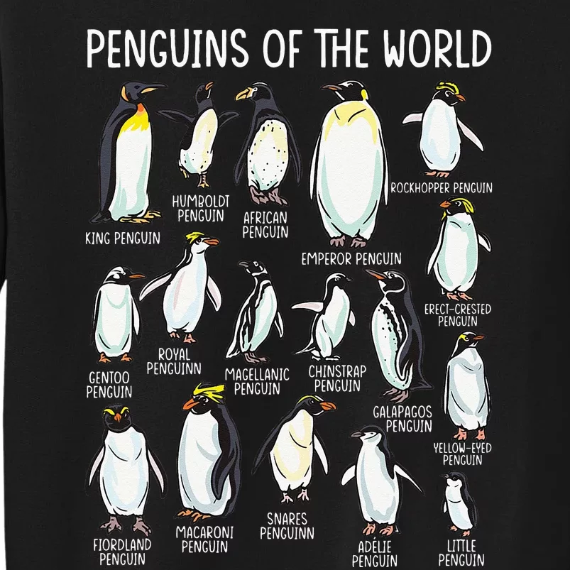 Penguins Of The World Zookeeper Sea Animal Penguin Lovers Tall Sweatshirt