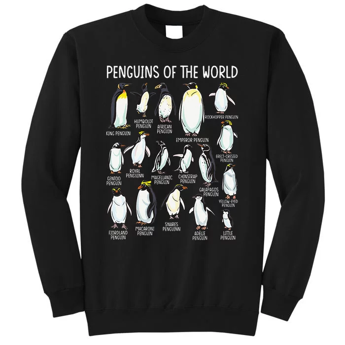 Penguins Of The World Zookeeper Sea Animal Penguin Lovers Tall Sweatshirt