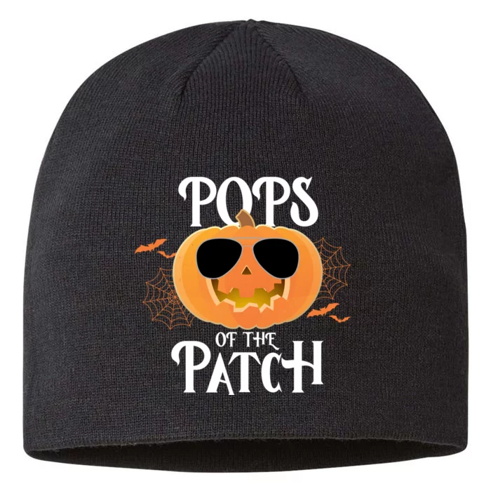 Pops Of The Patch 8 1/2in Sustainable Knit Beanie