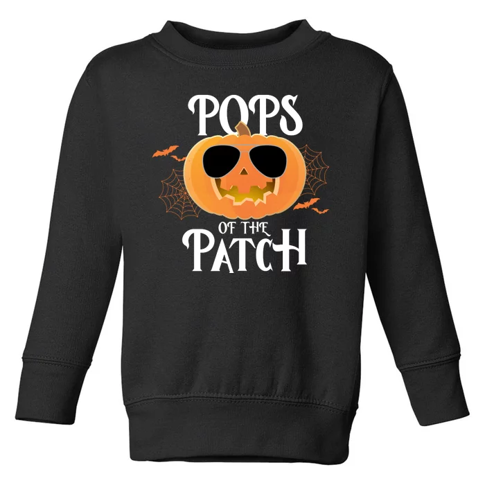 Pops Of The Patch Toddler Sweatshirt