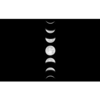 Phases Of The Moon Bumper Sticker