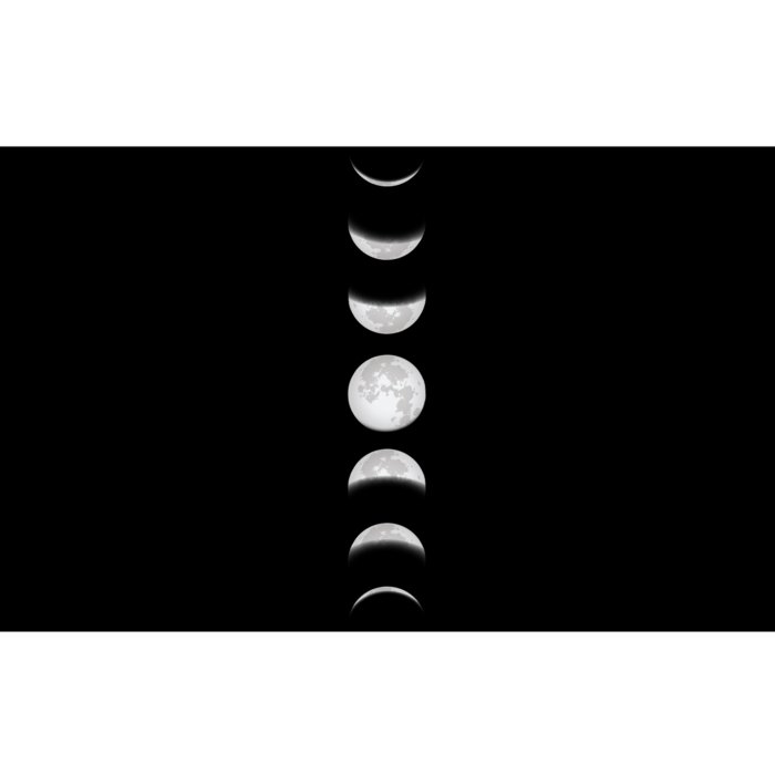 Phases Of The Moon Bumper Sticker