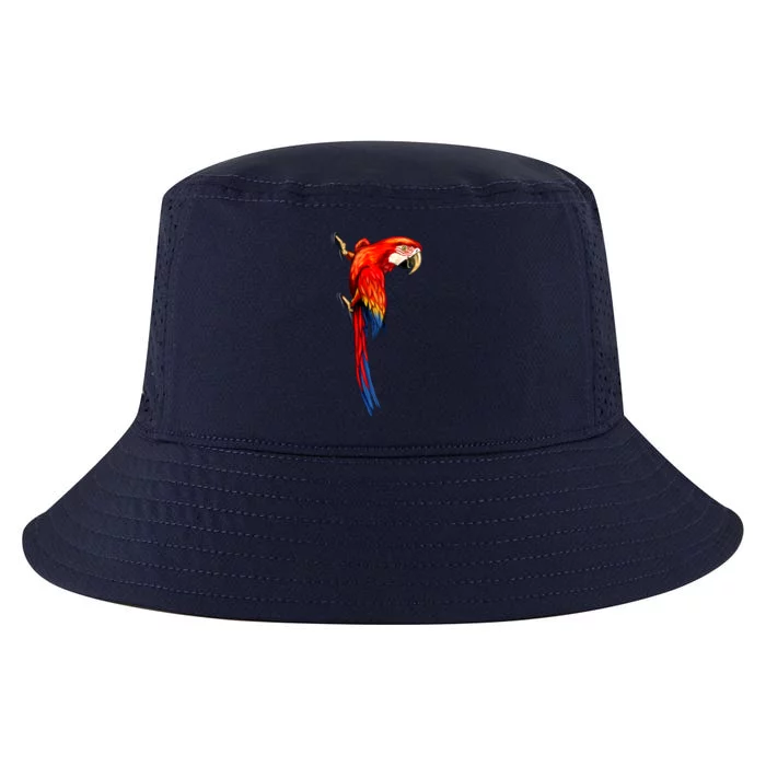 Parrot On Wall Cool Comfort Performance Bucket Hat