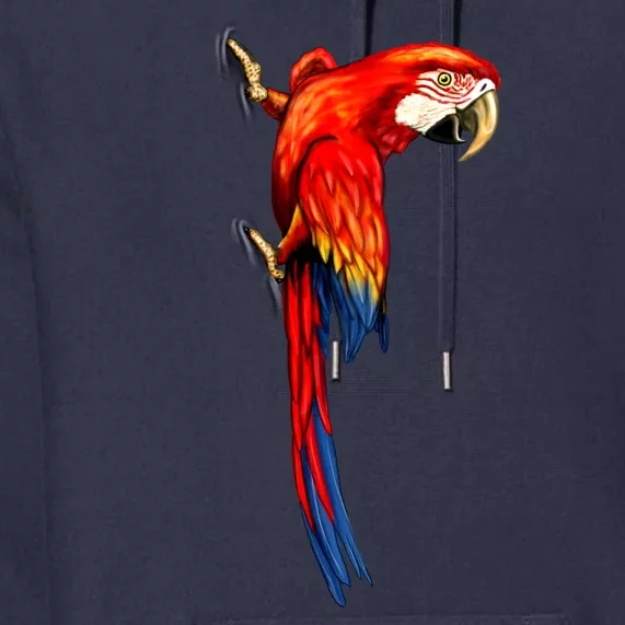 Parrot On Wall Premium Hoodie