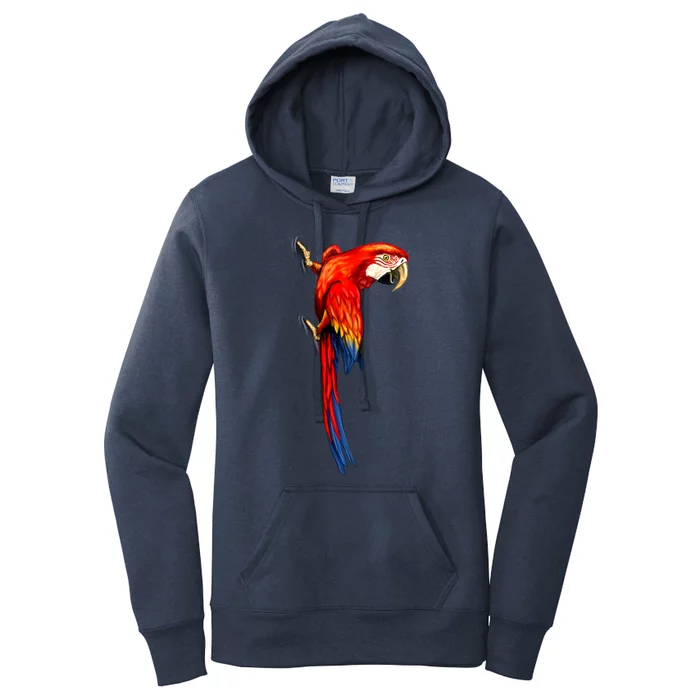 Parrot On Wall Women's Pullover Hoodie