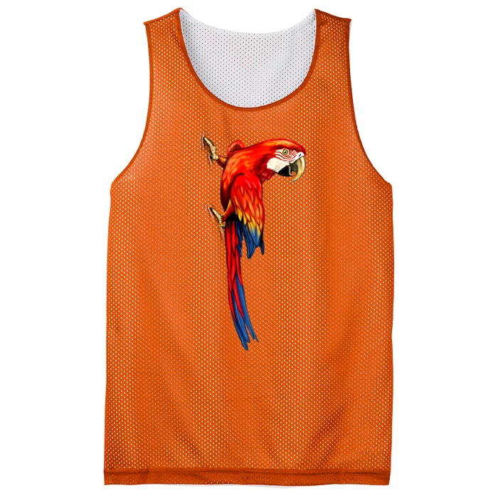 Parrot On Wall Mesh Reversible Basketball Jersey Tank