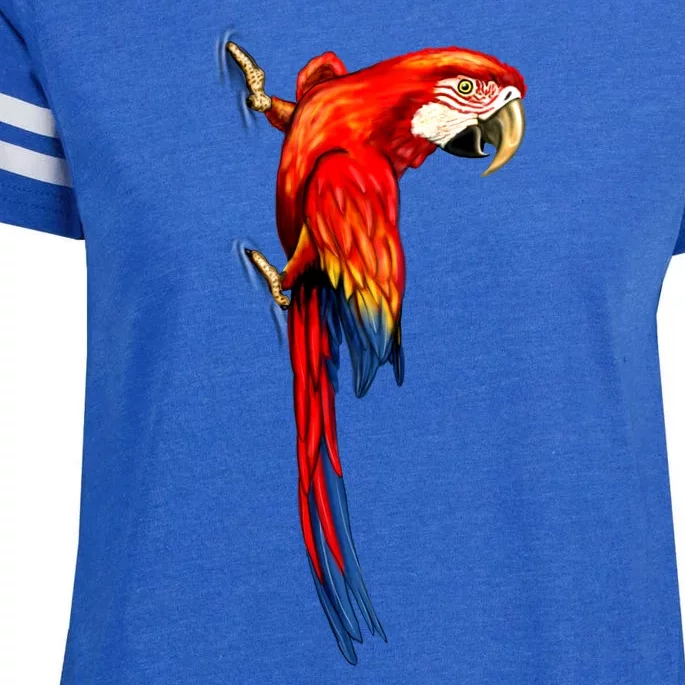 Parrot On Wall Enza Ladies Jersey Football T-Shirt