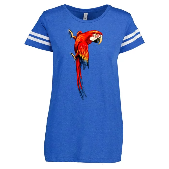 Parrot On Wall Enza Ladies Jersey Football T-Shirt