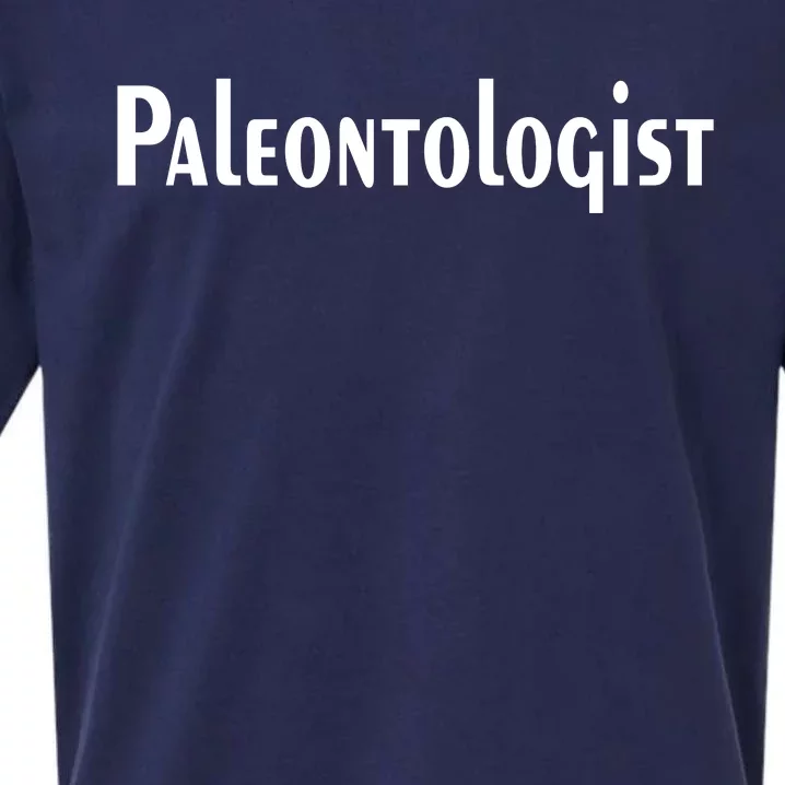 Paleontologist Sueded Cloud Jersey T-Shirt