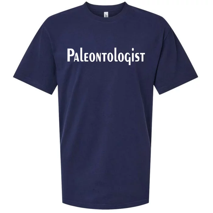 Paleontologist Sueded Cloud Jersey T-Shirt