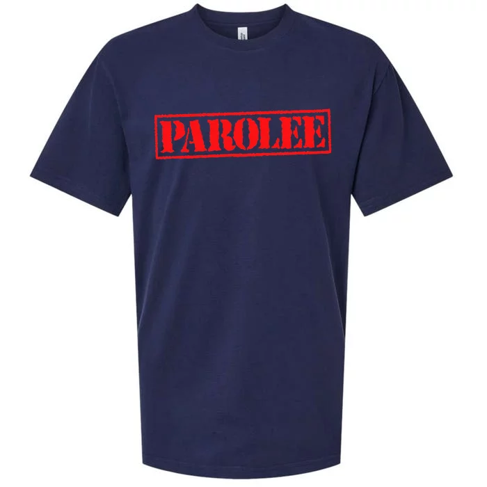 Parolee Sueded Cloud Jersey T-Shirt