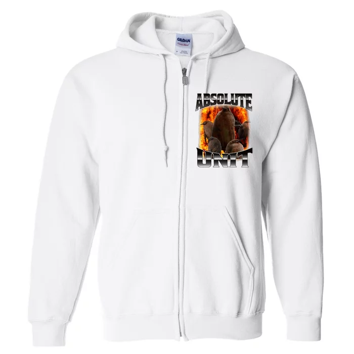 Pesto Penguin Absolute Unit Bootleg Rap Fire Full Zip Hoodie