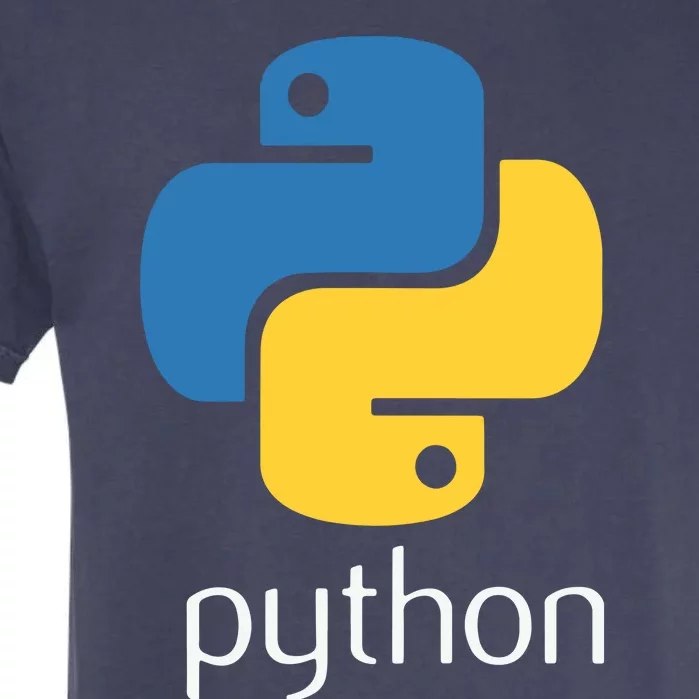 Python Programmer Computer Developers Tee Garment-Dyed Heavyweight T-Shirt