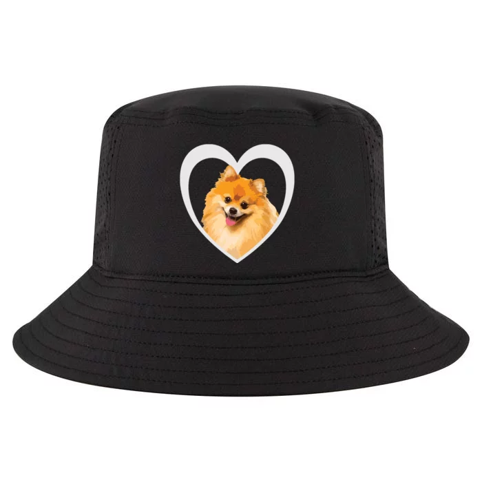 Pomeranian Pomeranian Dog Pomeranian Cool Comfort Performance Bucket Hat