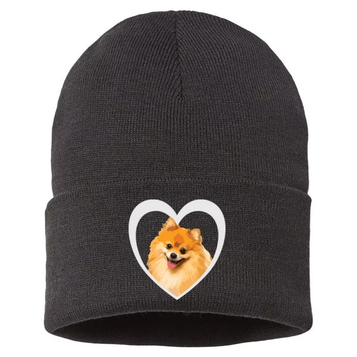 Pomeranian Pomeranian Dog Pomeranian Sustainable Knit Beanie