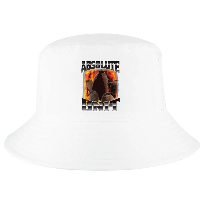 Pesto Penguin Funny Absolute Unit Bootleg Rap Fire Cool Comfort Performance Bucket Hat