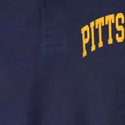 Pittsburgh Softstyle Adult Sport Polo