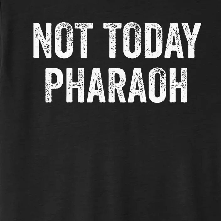 Passover Pesach Jewish Egypt Exodus ChromaSoft Performance T-Shirt