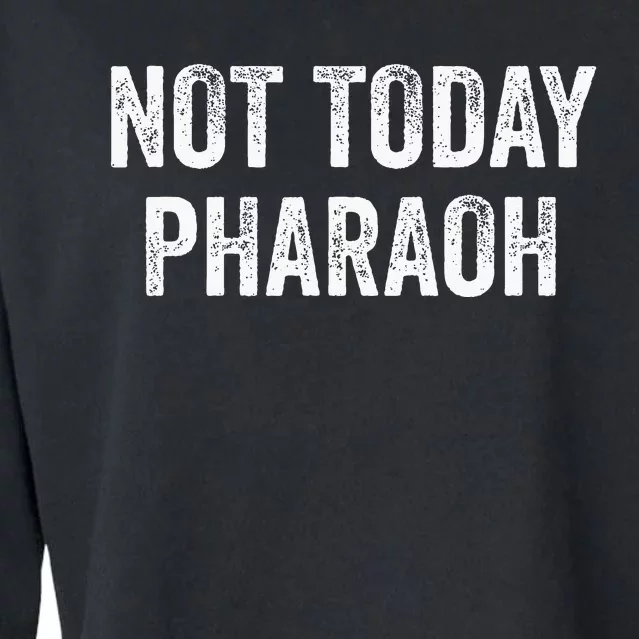 Passover Pesach Jewish Egypt Exodus Cropped Pullover Crew