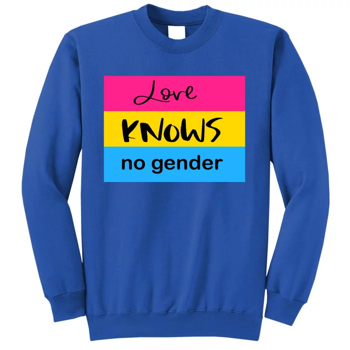 Pansexual Pride Love Knows No Gendersubtle Pansexual Pride Meaningful Gift Sweatshirt