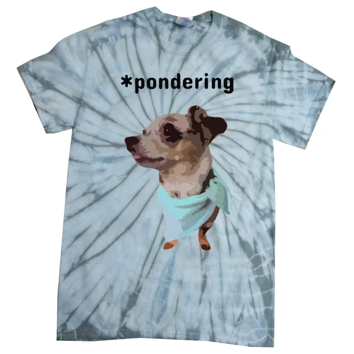 Pondering Tie-Dye T-Shirt