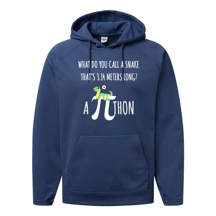 Python Pithon Pi Symbol Funny Math Teacher Science Tech Guy Cute Gift Performance Fleece Hoodie