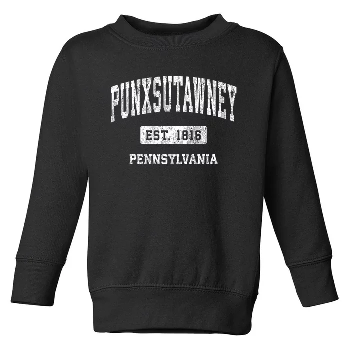 Punxsutawney Pennsylvania Pa Vintage Athletic Sports Design Toddler Sweatshirt