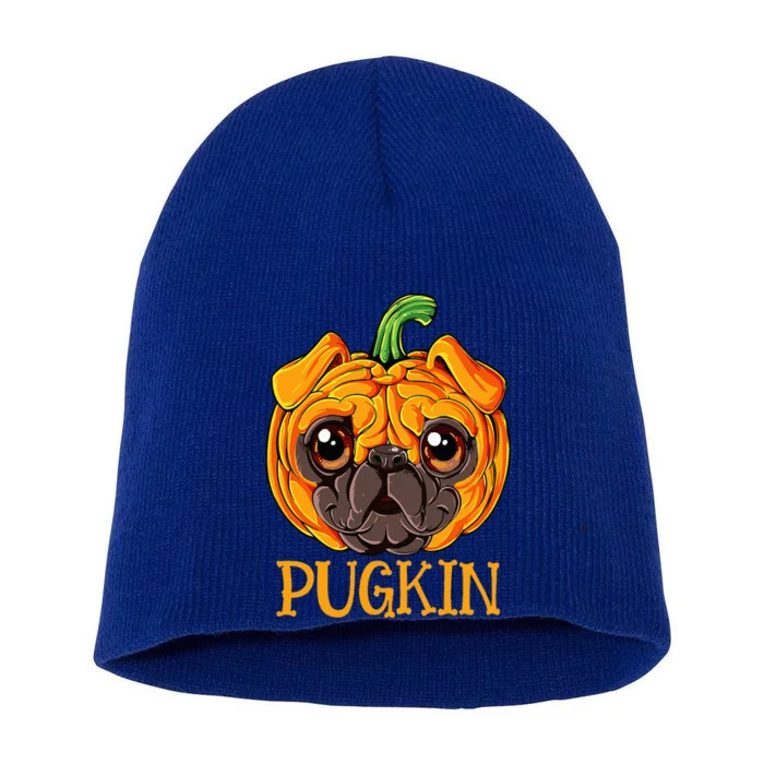 Pugkin Pug Pumpkin Halloween Thanksgiving Dog Short Acrylic Beanie