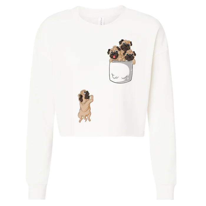 Pug Pocket Cropped Pullover Crew