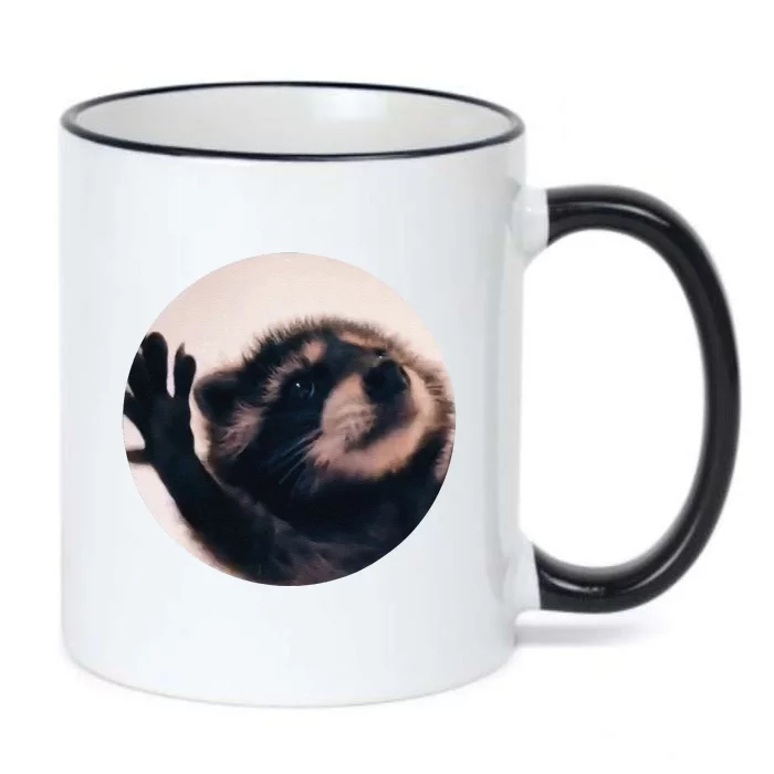 Pedro Pedro Racoon Dance Popular Internet Meme Racoon Day Black Color Changing Mug