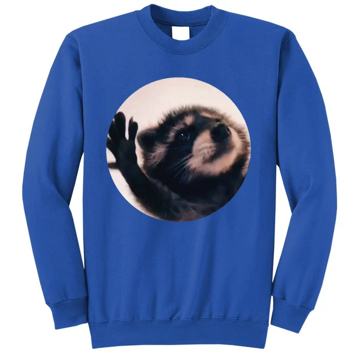 Pedro Pedro Racoon Dance Popular Internet Meme Racoon Day Tall Sweatshirt