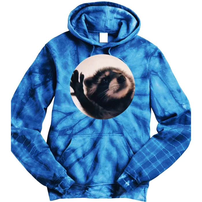 Pedro Pedro Racoon Dance Popular Internet Meme Racoon Day Tie Dye Hoodie