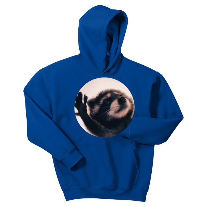 Pedro Pedro Racoon Dance Popular Internet Meme Racoon Day Kids Hoodie