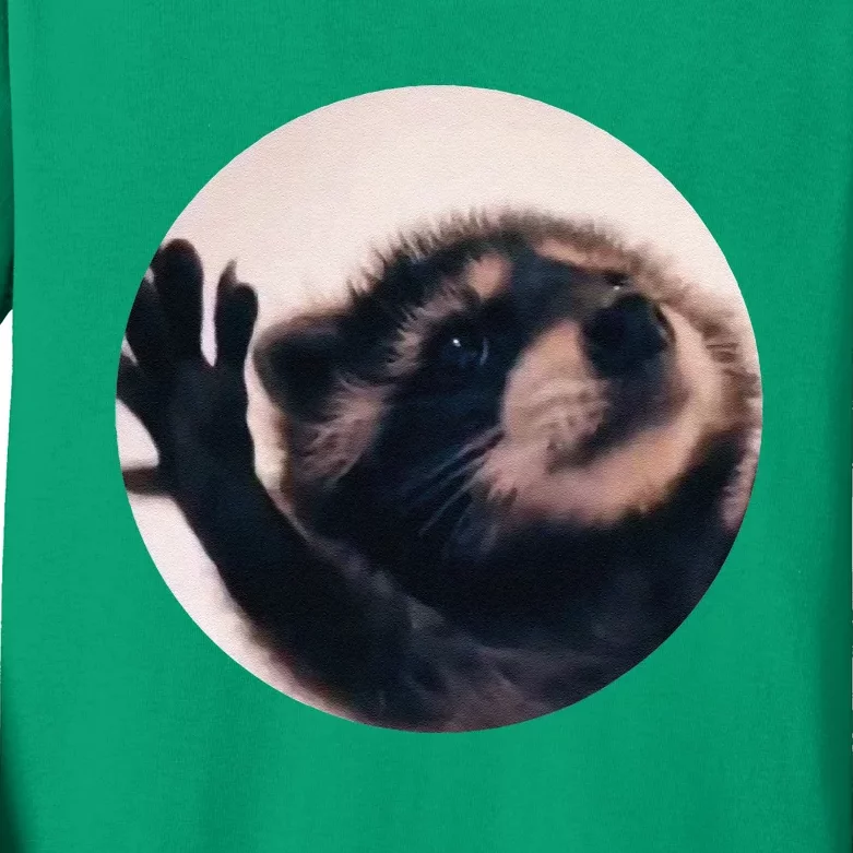 Pedro Pedro Racoon Dance Popular Internet Meme Racoon Day Kids Long Sleeve Shirt