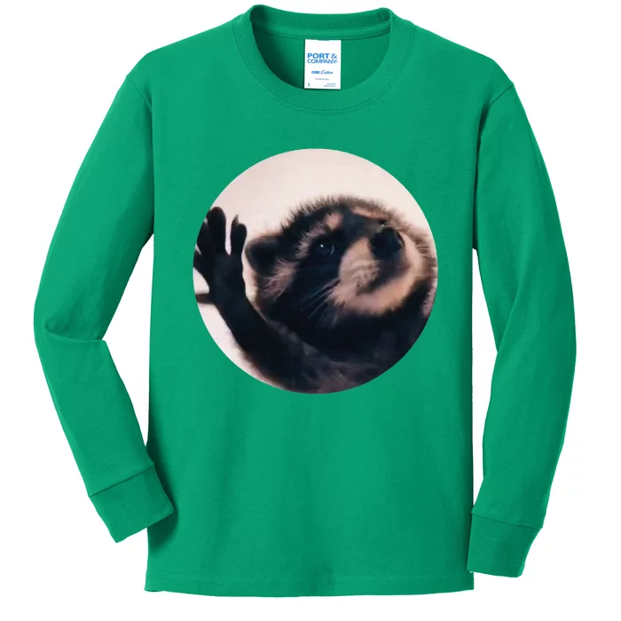 Pedro Pedro Racoon Dance Popular Internet Meme Racoon Day Kids Long Sleeve Shirt