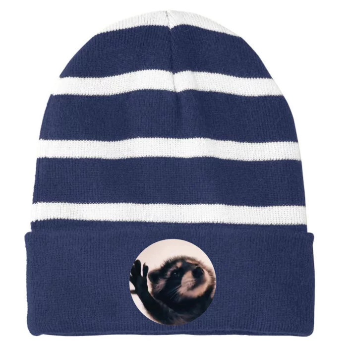 Pedro Pedro Racoon Dance Popular Internet Meme Racoon Day Striped Beanie with Solid Band