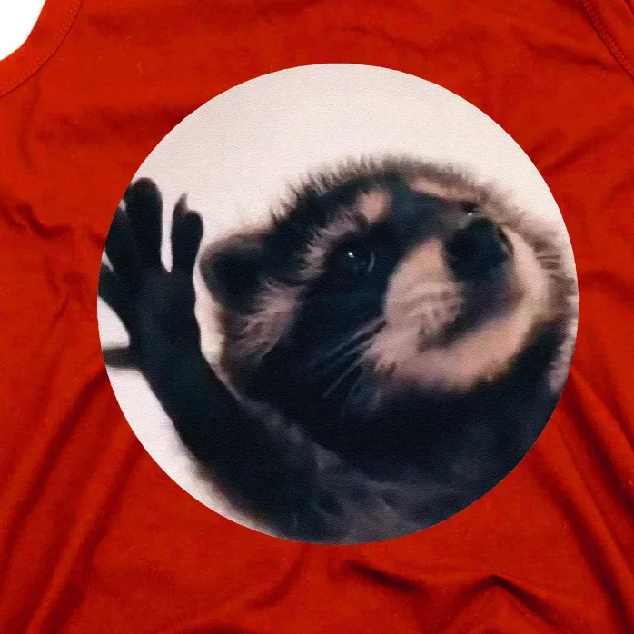 Pedro Pedro Racoon Dance Popular Internet Meme Racoon Day Tank Top