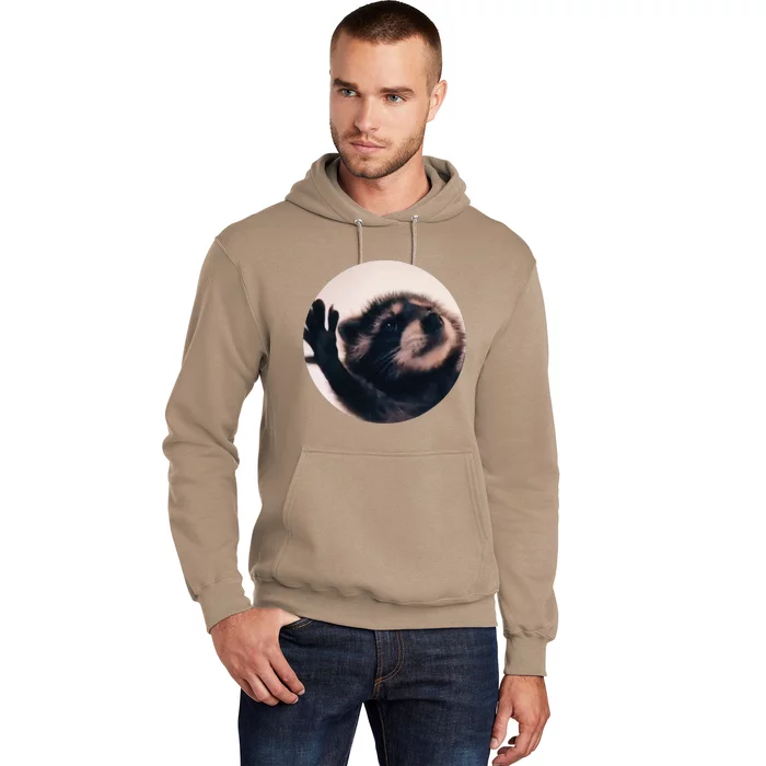 Pedro Pedro Racoon Dance Popular Internet Meme Racoon Day Hoodie