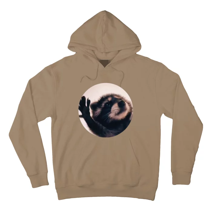 Pedro Pedro Racoon Dance Popular Internet Meme Racoon Day Hoodie