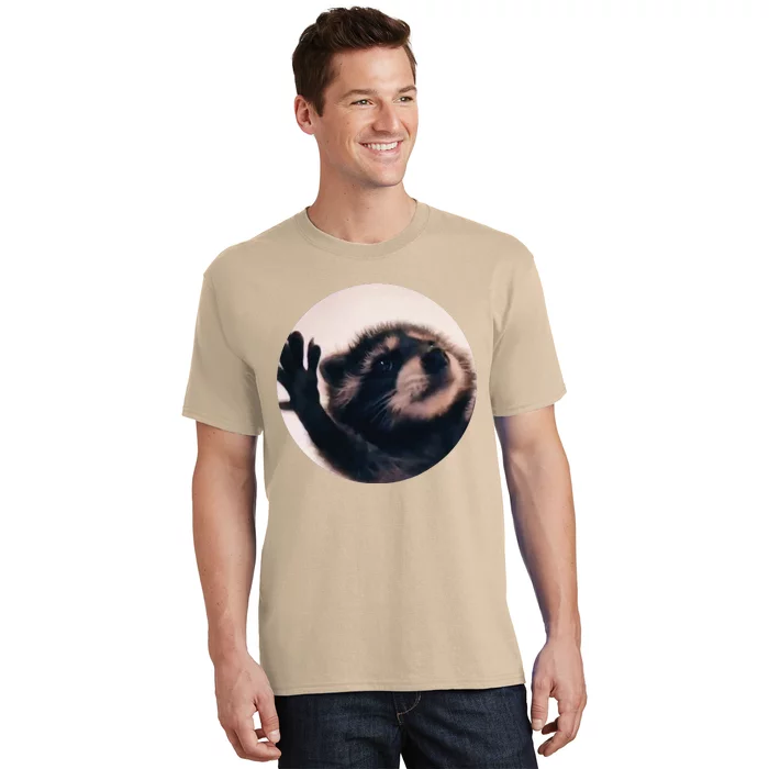 Pedro Pedro Racoon Dance Popular Internet Meme Racoon Day T-Shirt