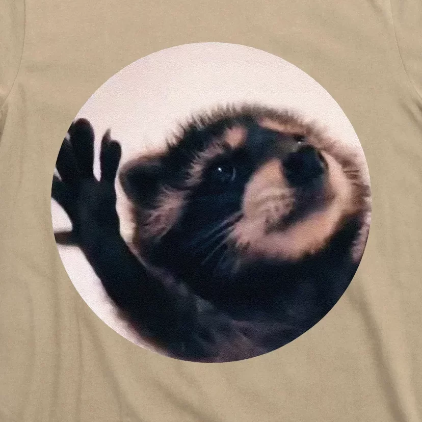 Pedro Pedro Racoon Dance Popular Internet Meme Racoon Day T-Shirt