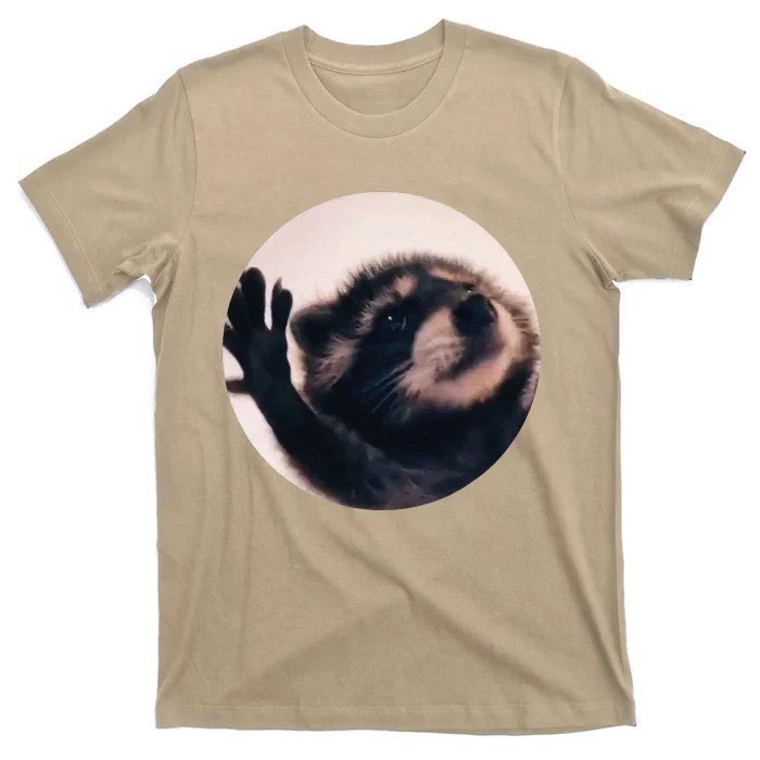 Pedro Pedro Racoon Dance Popular Internet Meme Racoon Day T-Shirt