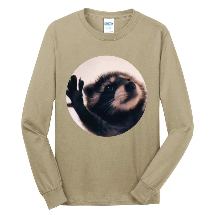 Pedro Pedro Racoon Dance Popular Internet Meme Racoon Day Tall Long Sleeve T-Shirt