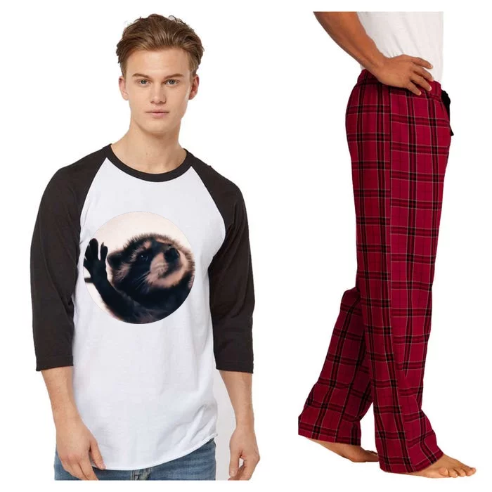 Pedro Pedro Racoon Dance Popular Internet Meme Racoon Day Raglan Sleeve Pajama Set