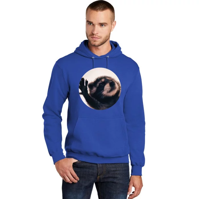 Pedro Pedro Racoon Dance Popular Internet Meme Racoon Day Tall Hoodie