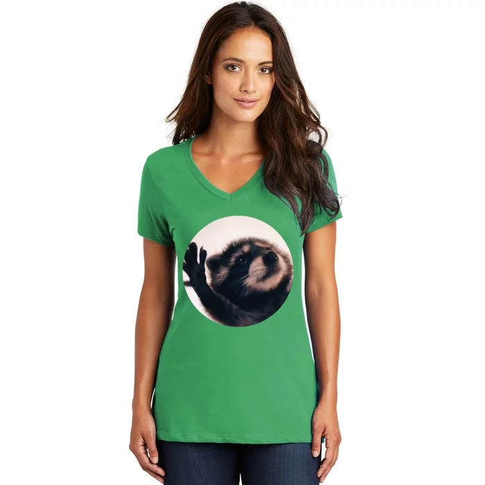 Pedro Pedro Racoon Dance Popular Internet Meme Racoon Day Women's V-Neck T-Shirt