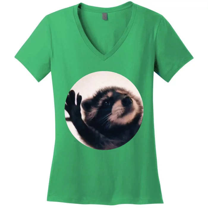 Pedro Pedro Racoon Dance Popular Internet Meme Racoon Day Women's V-Neck T-Shirt